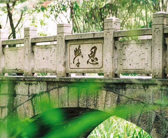 1956年成为本科院校
