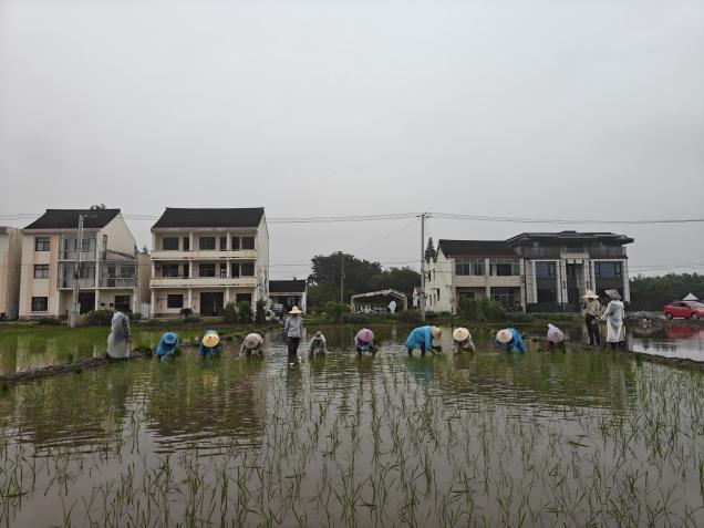 中国植生学会杰出青年科学家奖